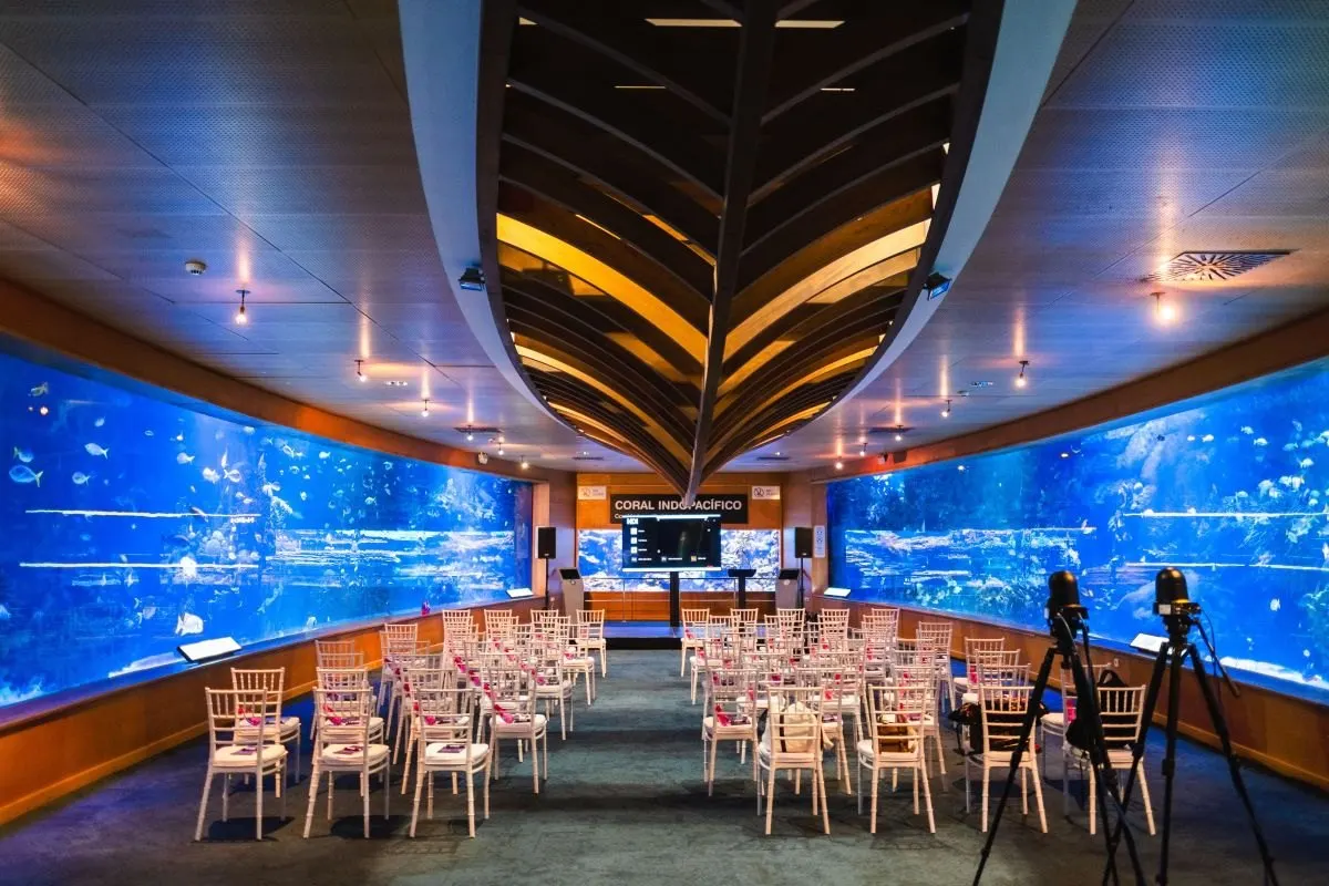 Oceanogràfic en Valencia, aforo hasta 600 personas