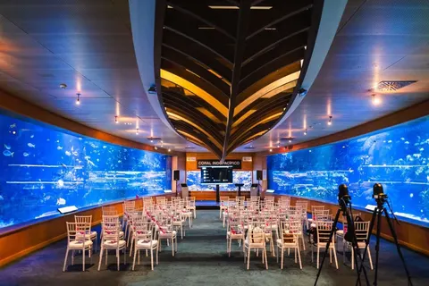 Oceanogràfic en Valencia, aforo hasta 600 personas