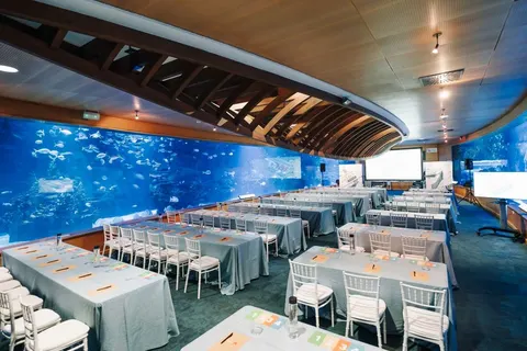 Oceanogràfic en Valencia, aforo hasta 600 personas · imagen 2