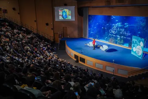 Oceanogràfic en Valencia, aforo hasta 600 personas · imagen 3